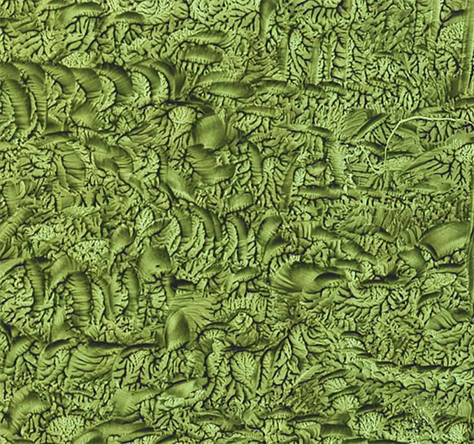 MACRO Zoom of Javari Valley By DAPACU